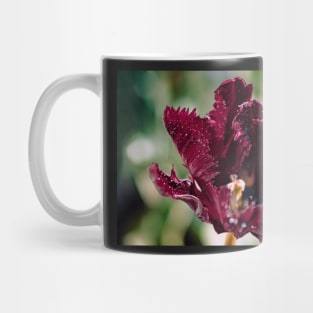 Black parrot tulip in the sun Mug